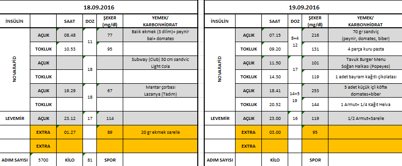 Mühendis Dokunuşuyla Şeker Takip Dosyası | Diyabetimben.com